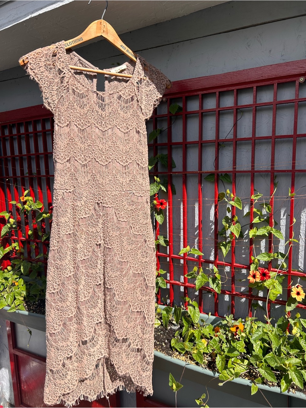 Soieblu Lace Midi Dress in Blush Taupe